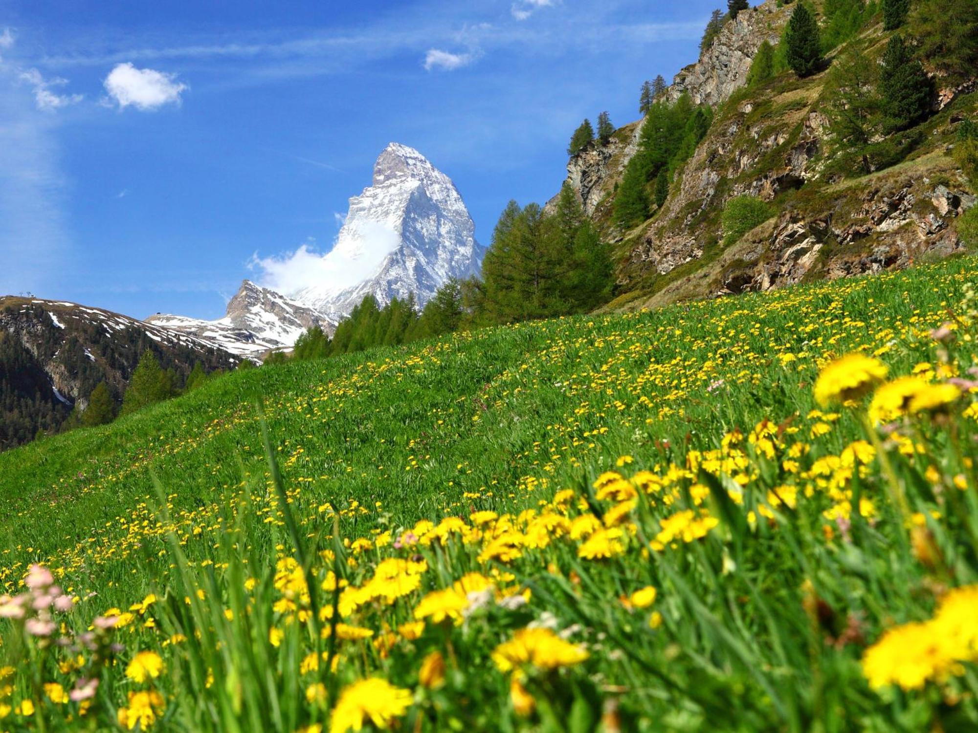 Apartment Haus Whymper Edward Suite By Interhome Zermatt Buitenkant foto